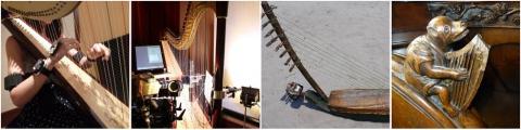 La harpe sous toutes ses cordes La harpe sous toutes ses cordes
